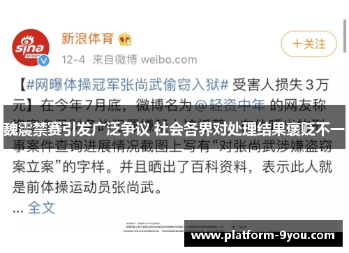 魏震禁赛引发广泛争议 社会各界对处理结果褒贬不一