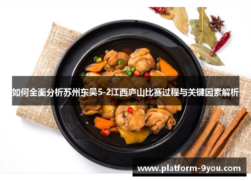 如何全面分析苏州东吴5-2江西庐山比赛过程与关键因素解析