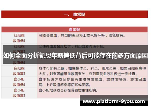 如何全面分析凯恩年薪偏低背后可能存在的多方面原因